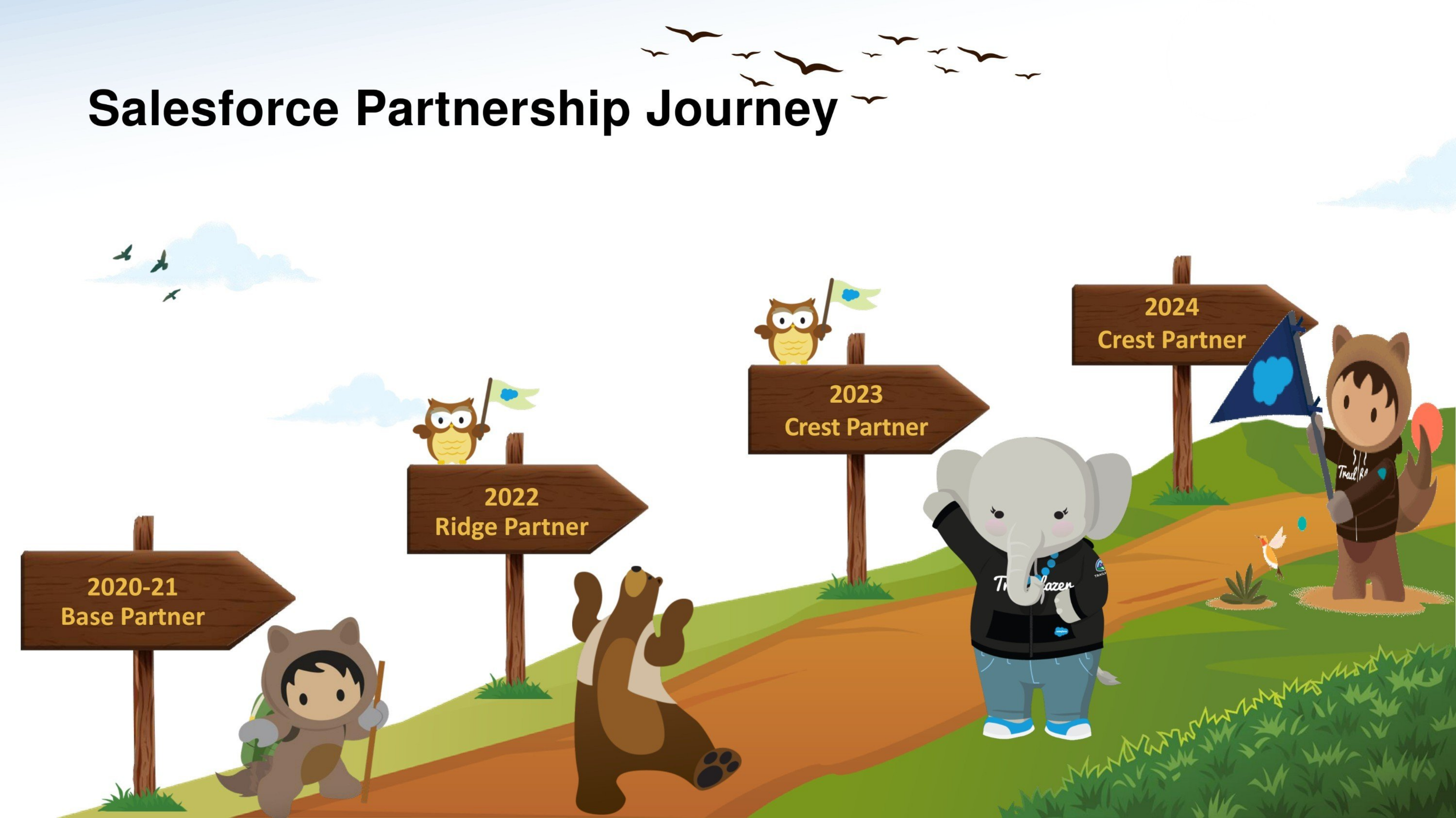 Partnership Journey